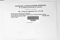Image Associated With the Occurence